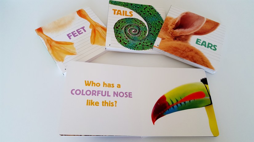 noses ears tails etc.jpg